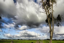 NBA选秀即将进行！谁会成为今年的状元秀？