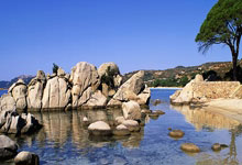 北京国安客场逼平江苏苏宁，榜首之争