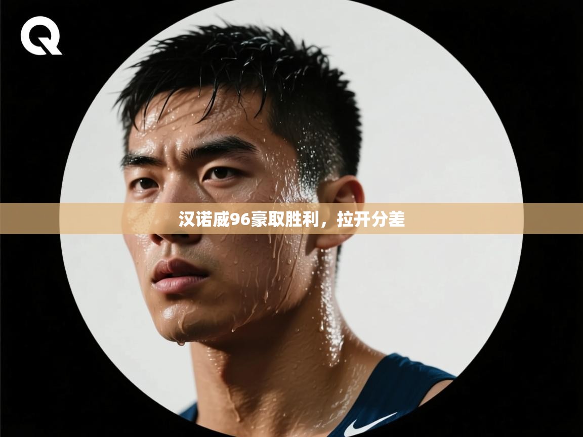 汉诺威96豪取胜利，拉开分差  第1张