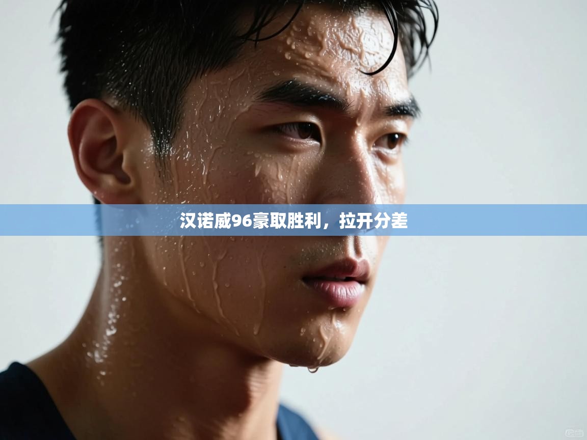 汉诺威96豪取胜利，拉开分差  第2张